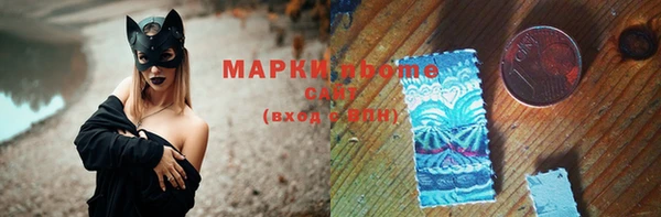 прущие грибы Дмитриев