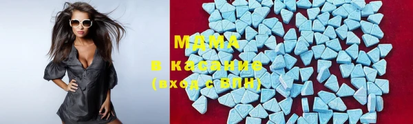 индика Дмитровск