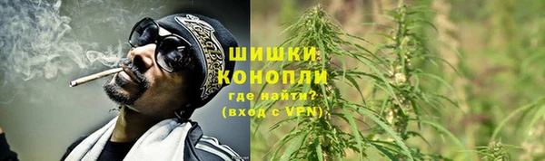 индика Дмитровск