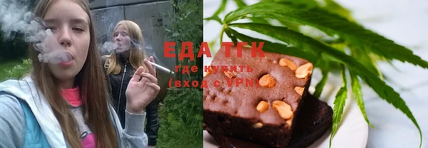 индика Дмитровск