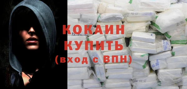 прущие грибы Дмитриев