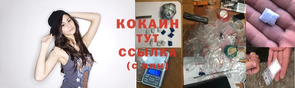 индика Дмитровск