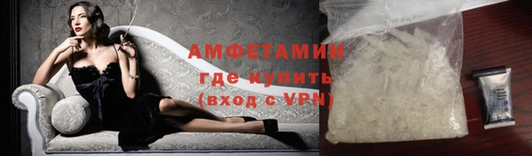 индика Дмитровск