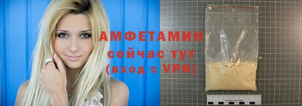 индика Дмитровск