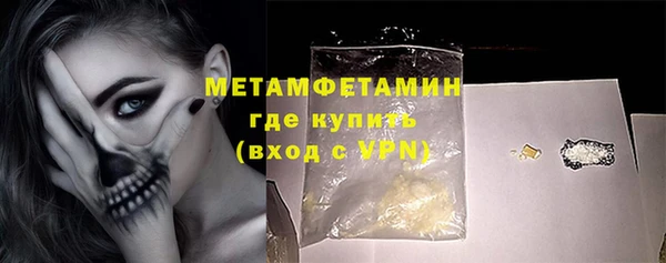 индика Дмитровск