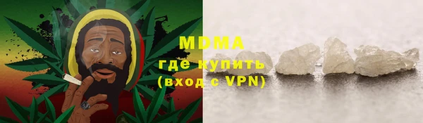 индика Дмитровск