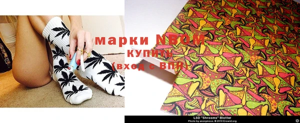 индика Дмитровск