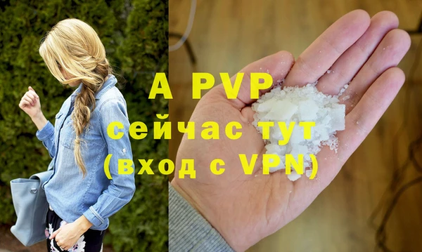 индика Дмитровск