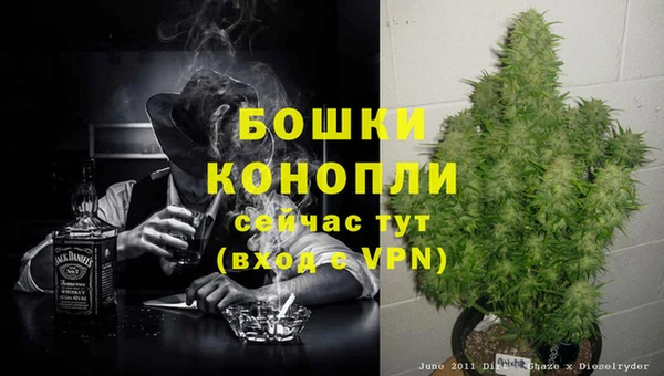 индика Дмитровск