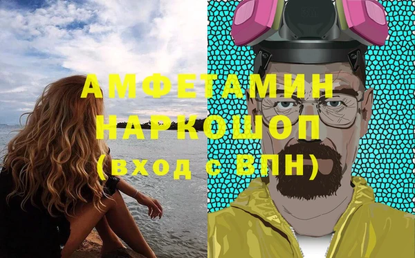 индика Дмитровск