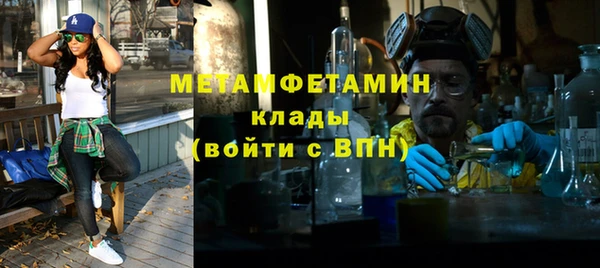 прущие грибы Дмитриев