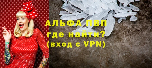 индика Дмитровск