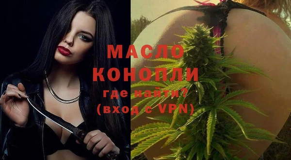 индика Дмитровск