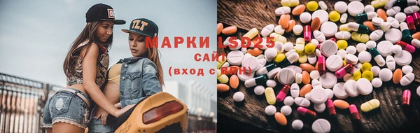 прущие грибы Дмитриев