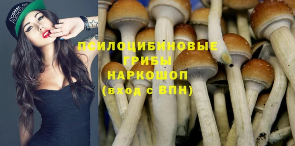 прущие грибы Дмитриев