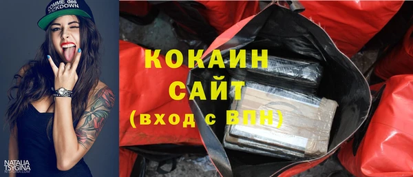 прущие грибы Дмитриев