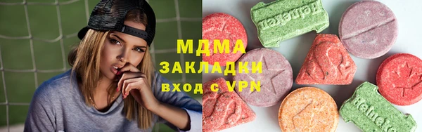 индика Дмитровск